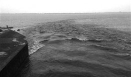 钱塘江最新爆料,揭秘江水涌动背后的神秘力量